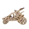 Desert buggy