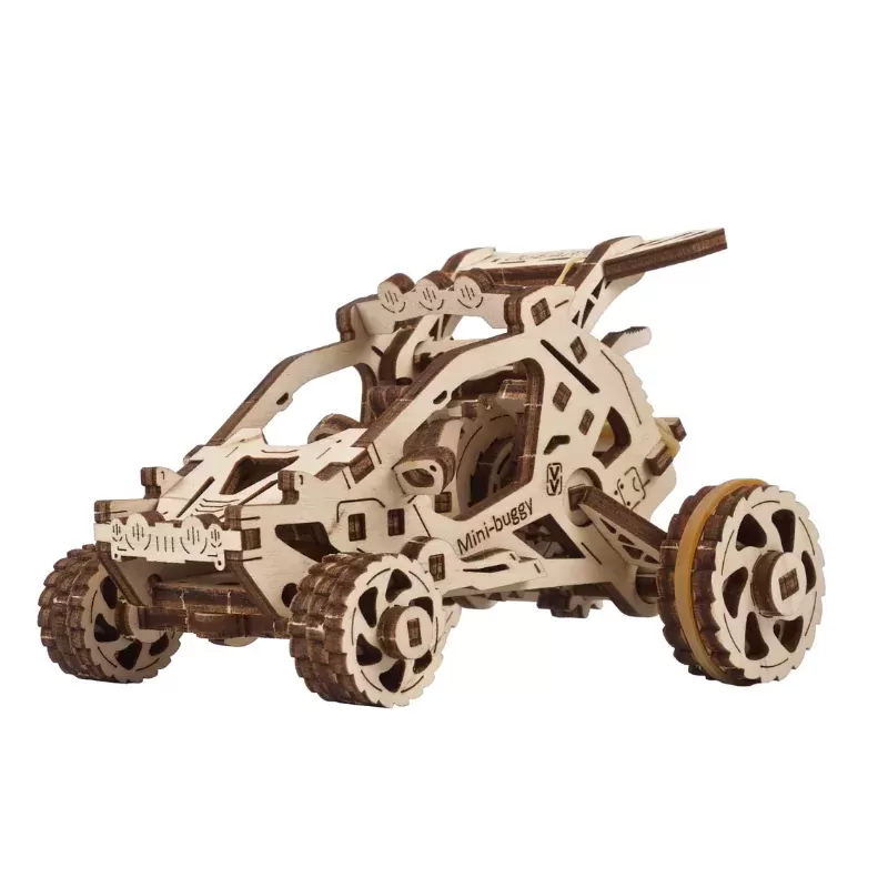 Desert buggy