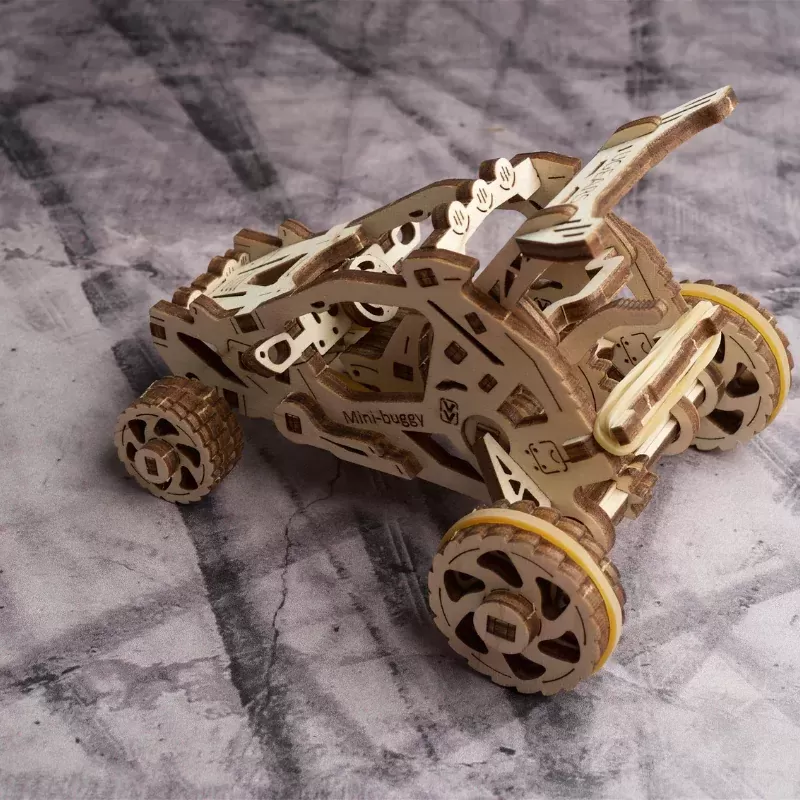 Desert buggy