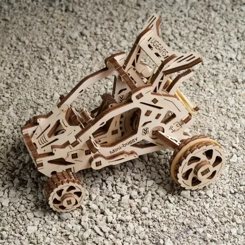 Desert buggy