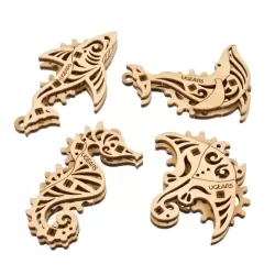 Ֆիդջետ-Խաղաղ օվկիանոս