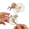 Dutch Bicycle
