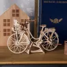 Dutch Bicycle