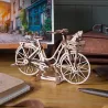 Dutch Bicycle