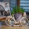 Dutch Bicycle