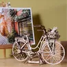 Dutch Bicycle